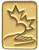 Caring Canadian Award