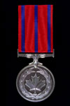 Médaille de la bravoure